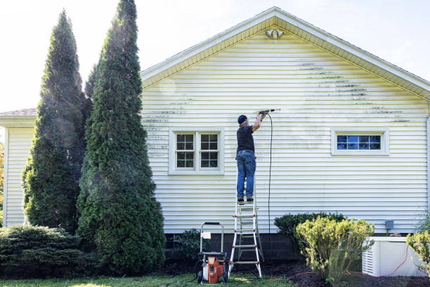 Best Rust Removal  in Newkirk, OK